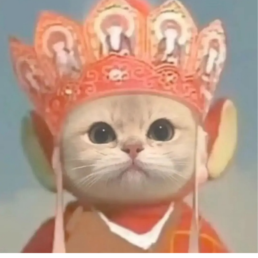 她是星河亦是温柔