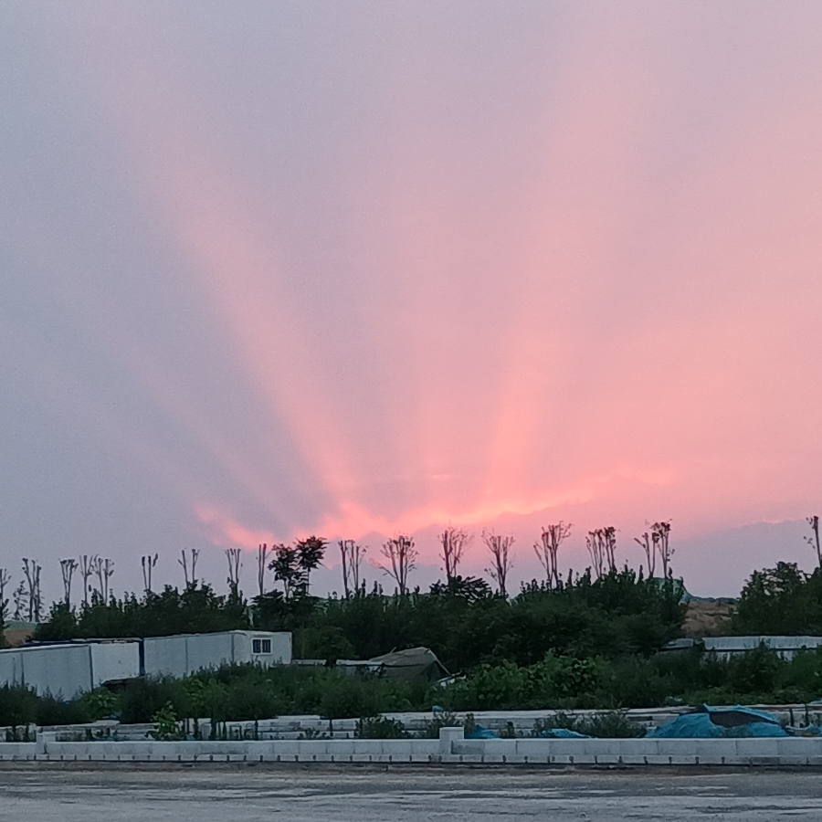 阿洋😊