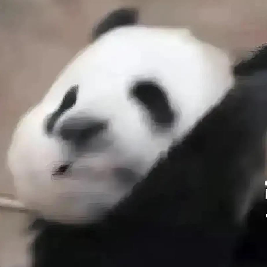 盒子精Sean