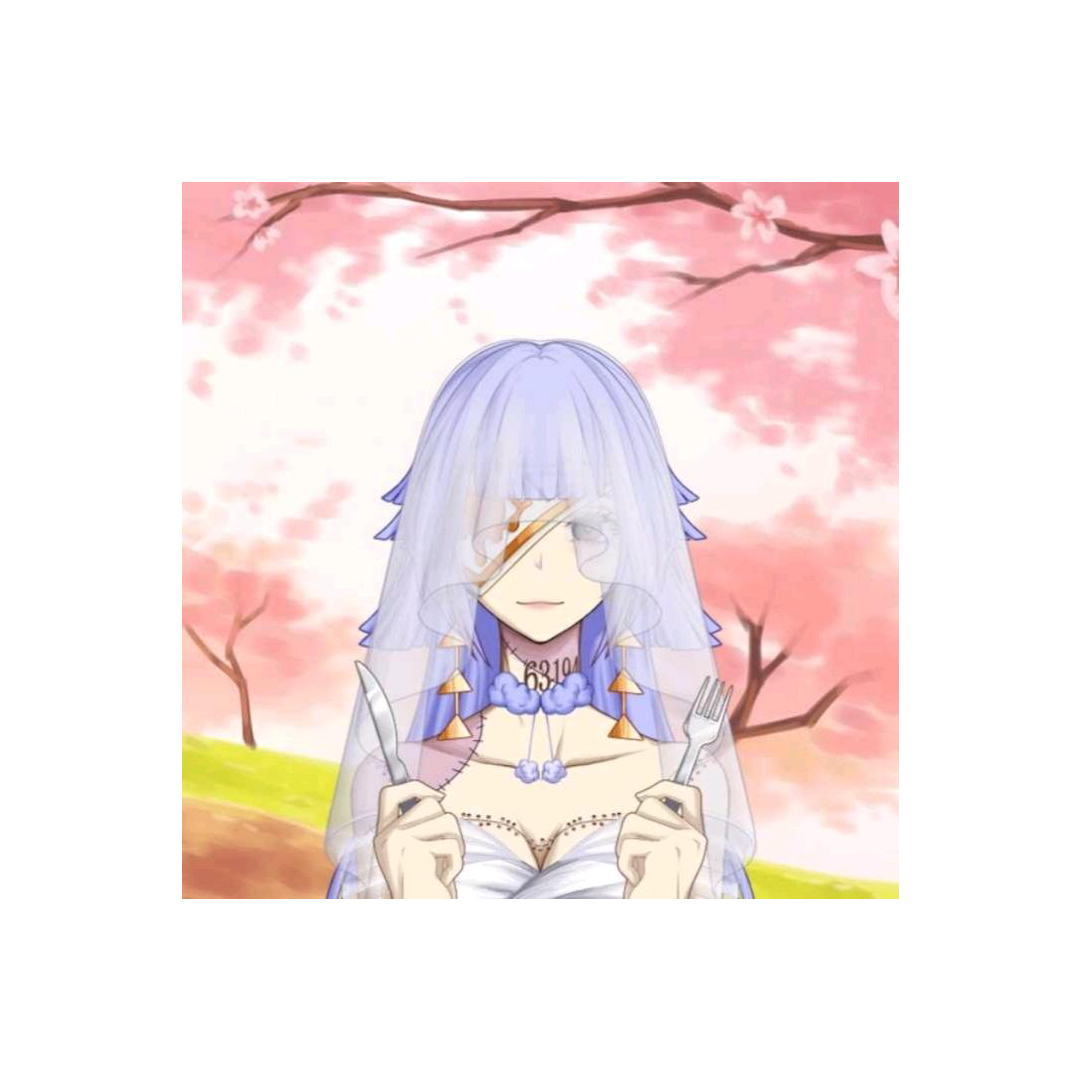 梦迷摘得镜中花