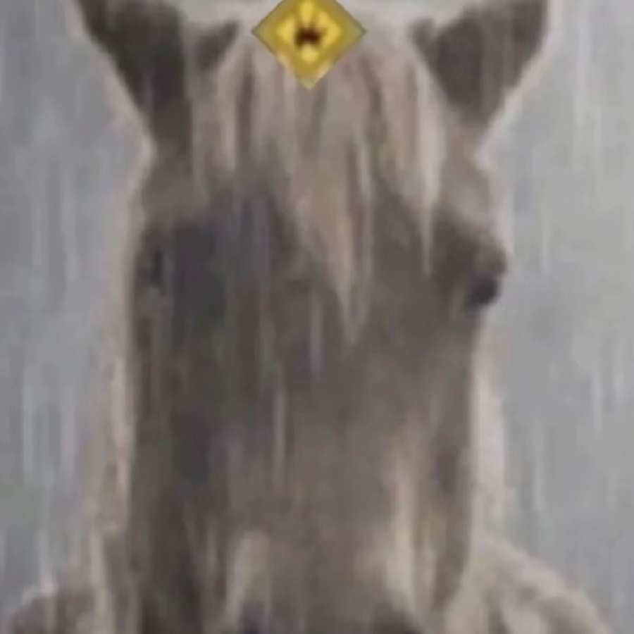 彬