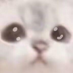 清风时镜