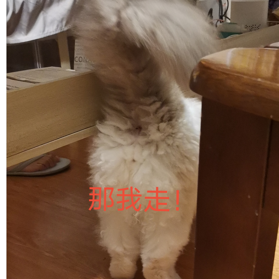 一夏无所畏惧