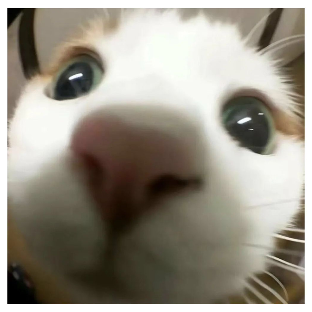 井