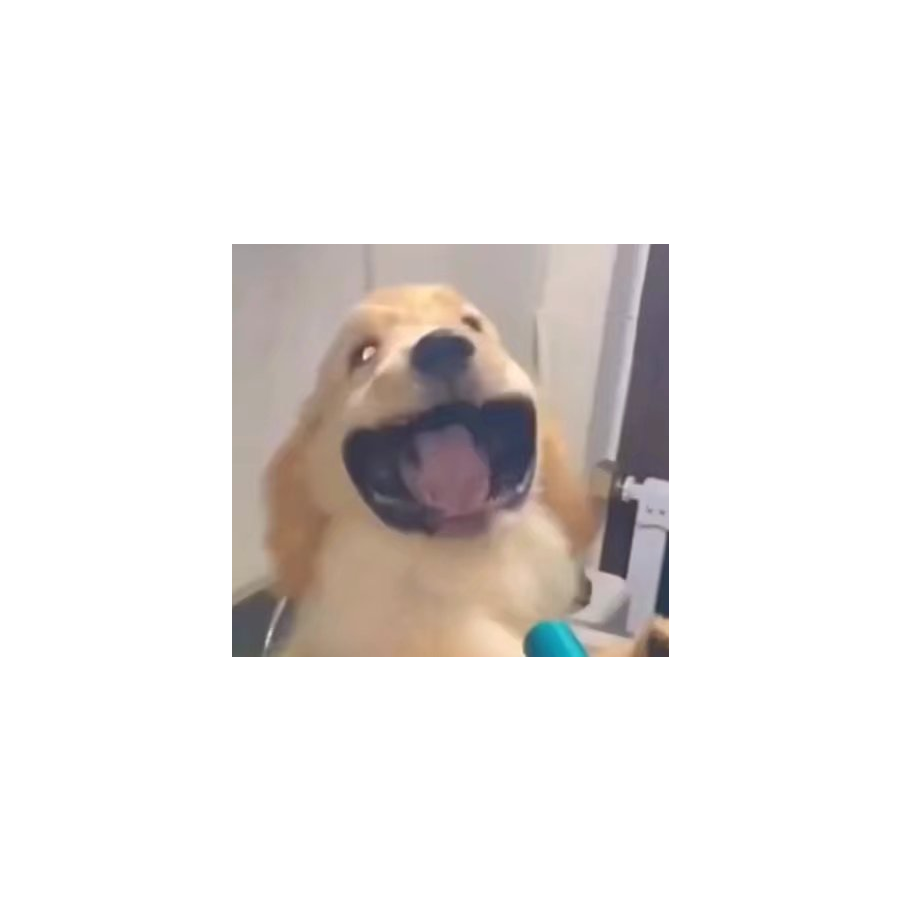 松松