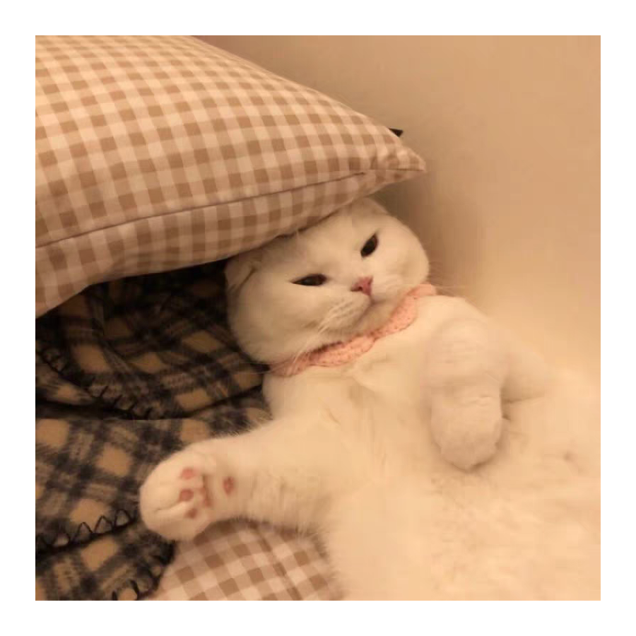 周一一