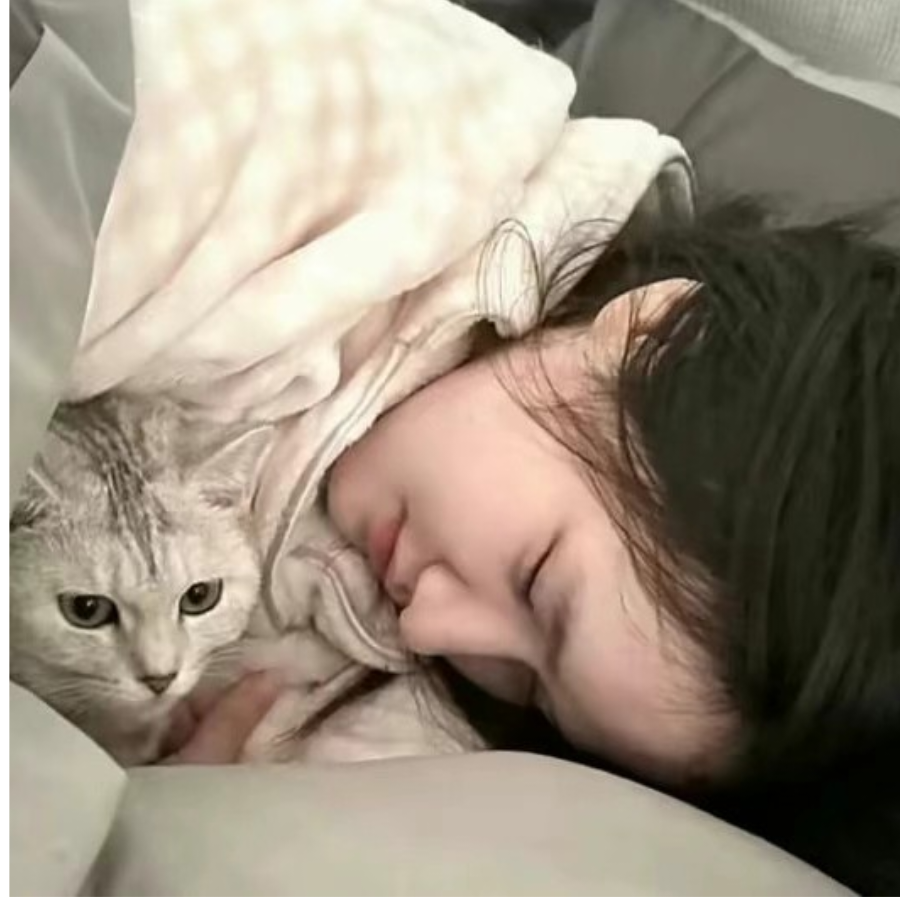 樱苒.¹🐾