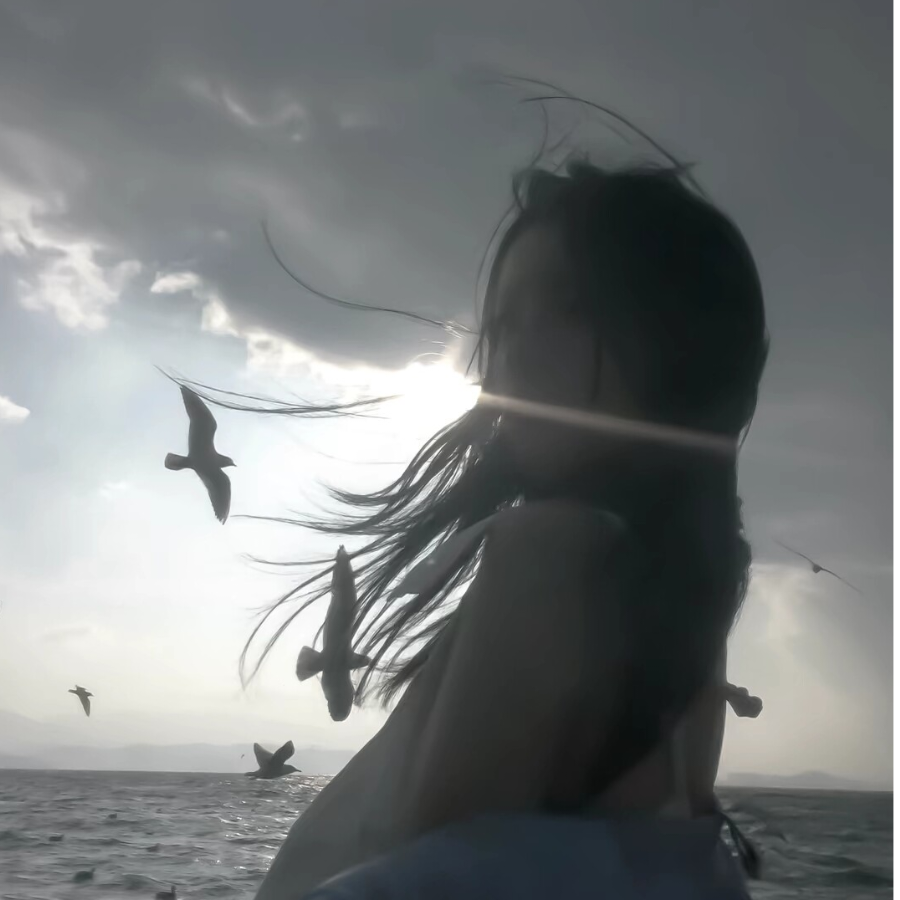 camiln