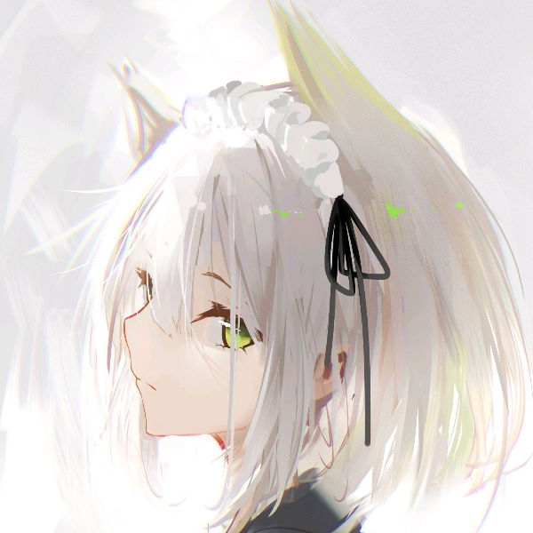 叶鹤龙因