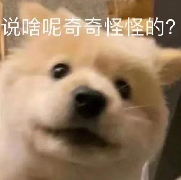 不善言辞的狂战士