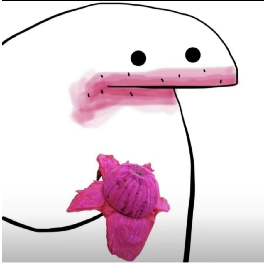 MIHEN