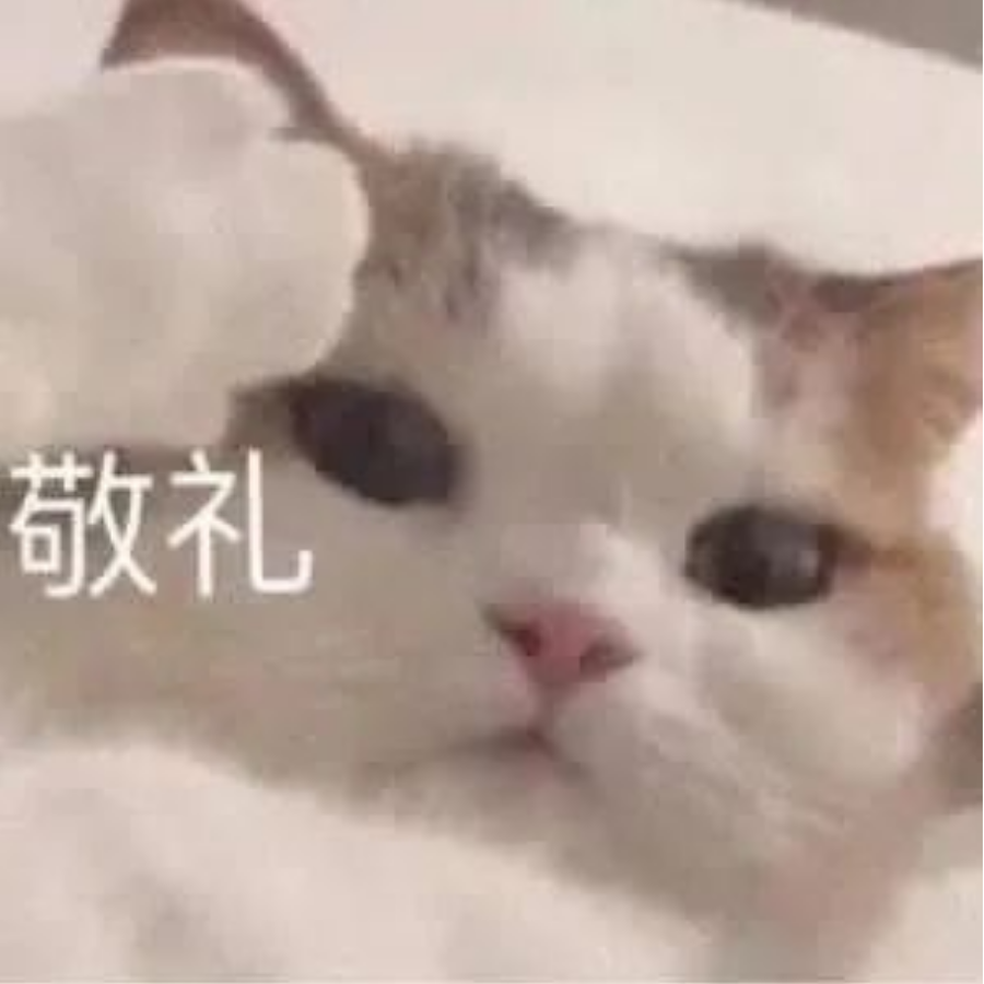 绫丶