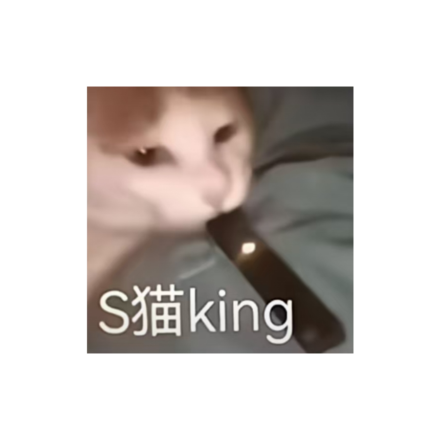 S猫king