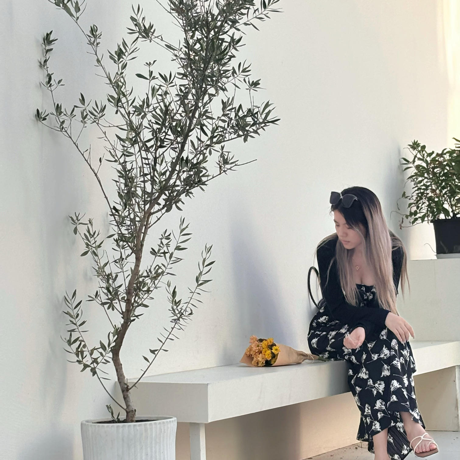 栖栖吖