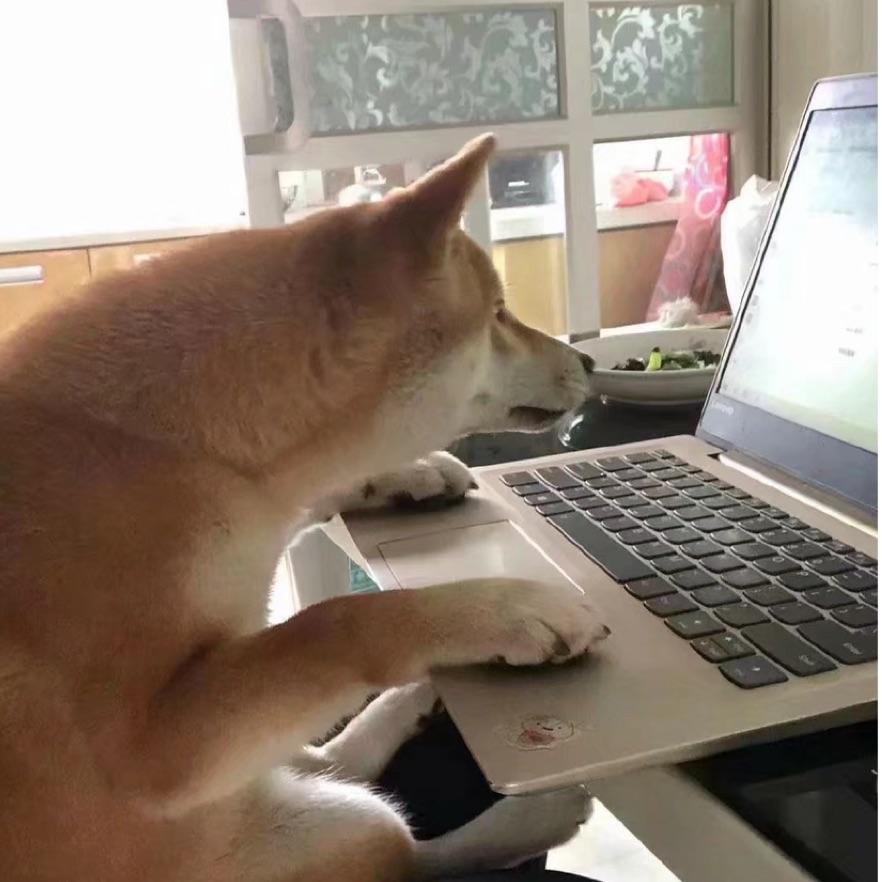 思达先生