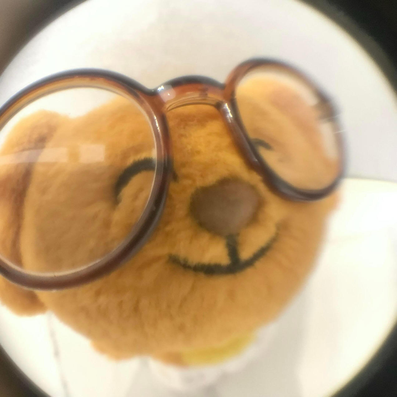 你蛋