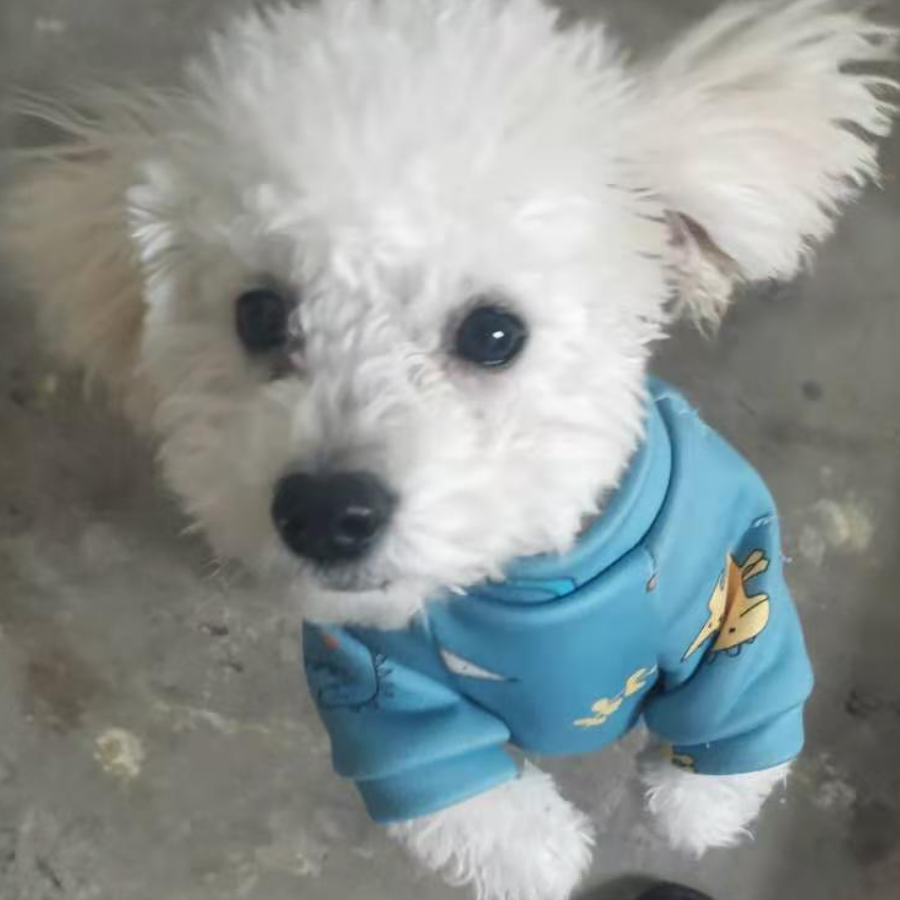 泰罗