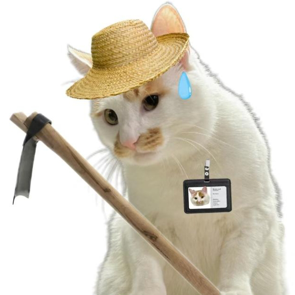 曼啵