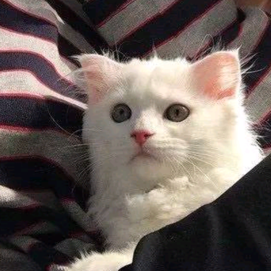 我只是想要快乐