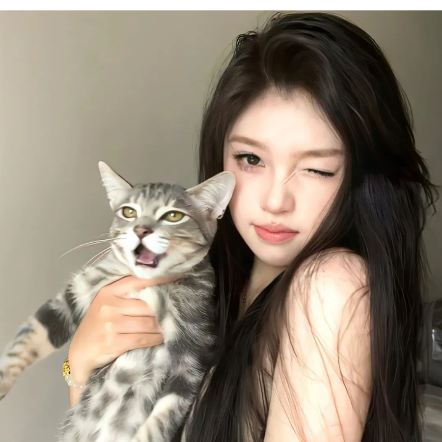 苏染