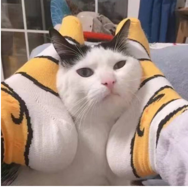 梨子
