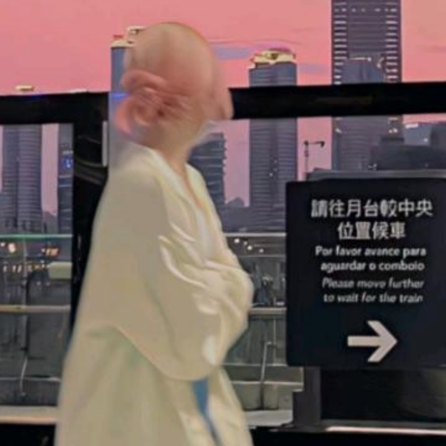 紫菜