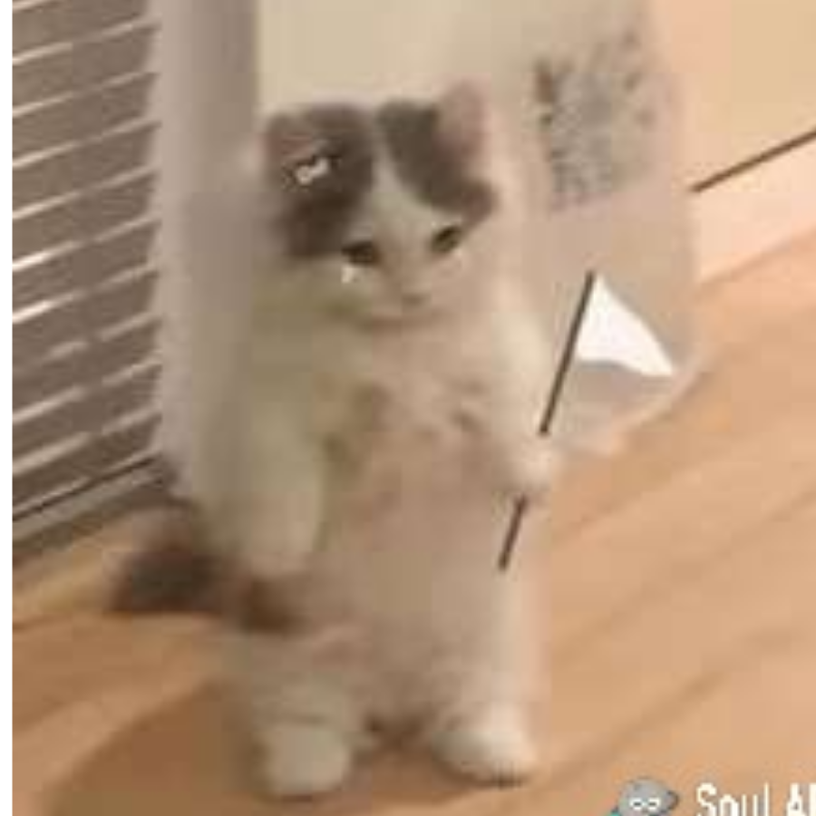 王sir
