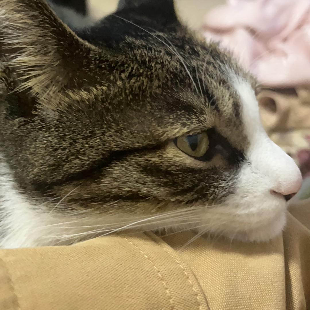 常一文