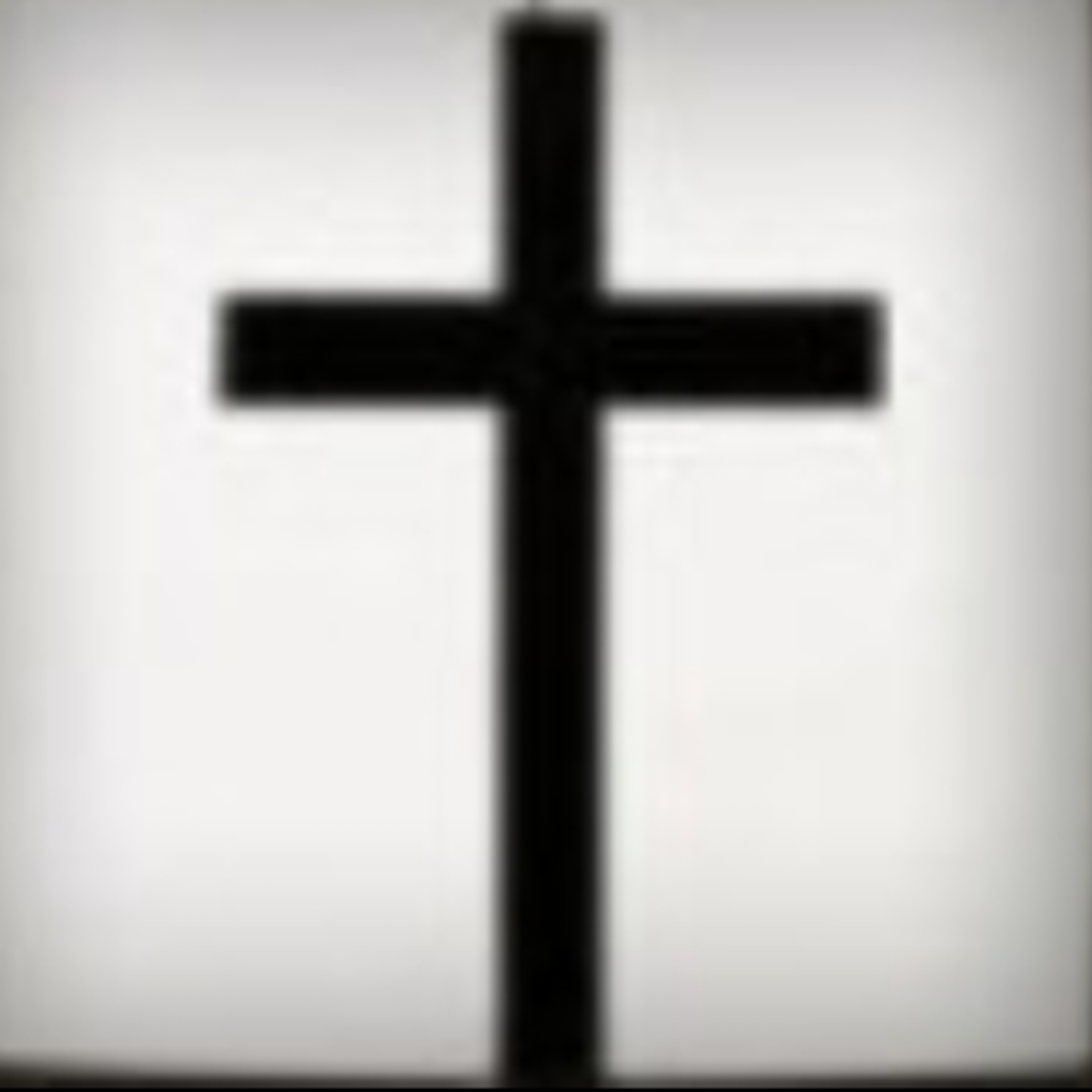 坠入凡间的星辰