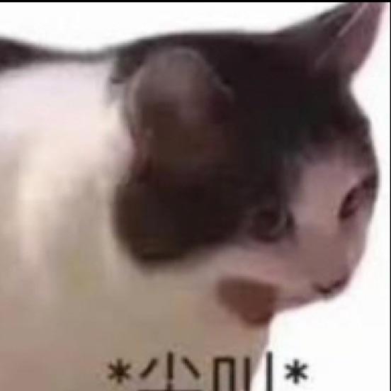 柿子椒椒