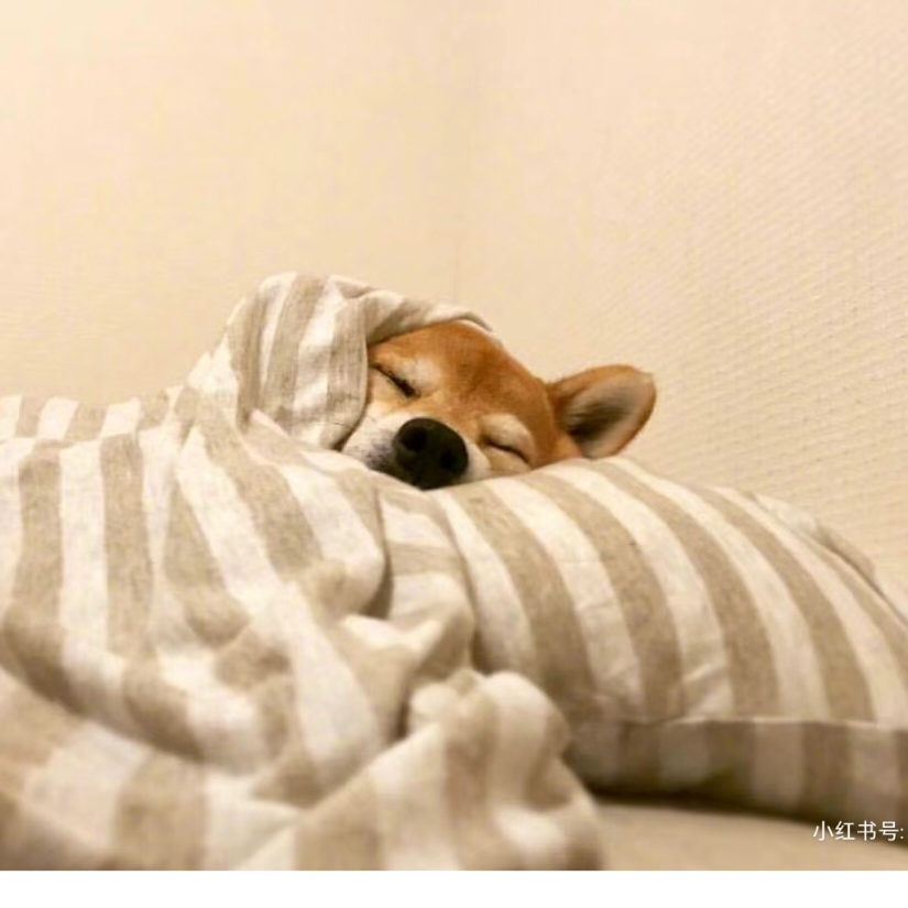 夜里雨里，等对的你