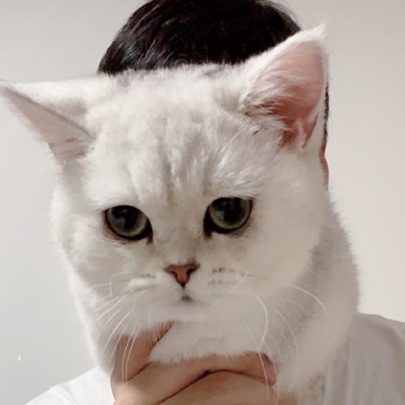 炸不倒我是碉堡