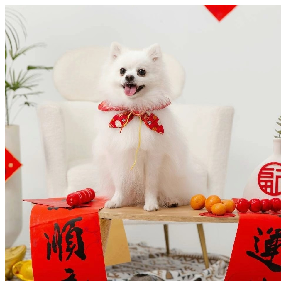 兔子伯爵🐰