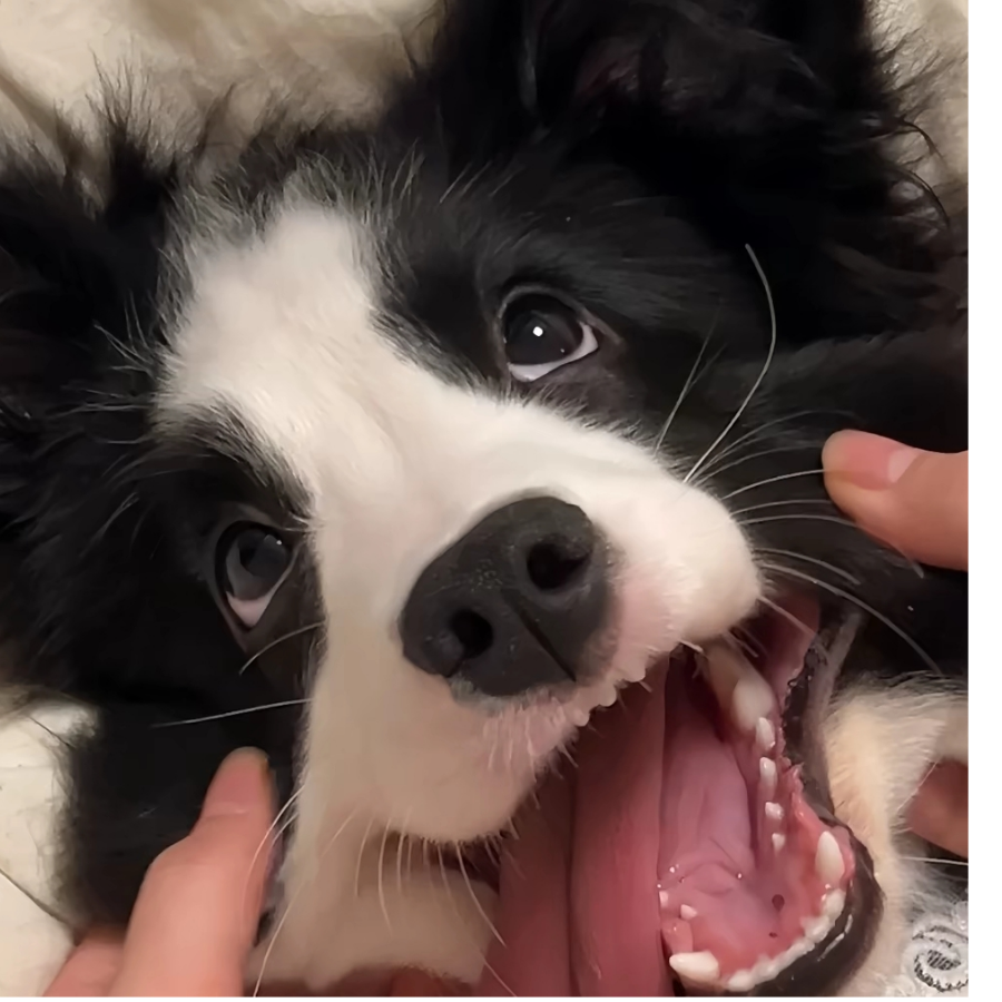 O_o