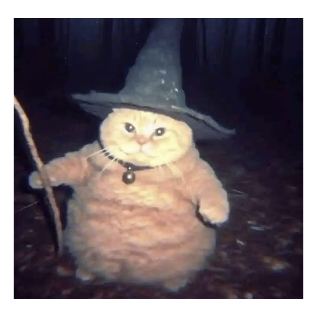 ⒍