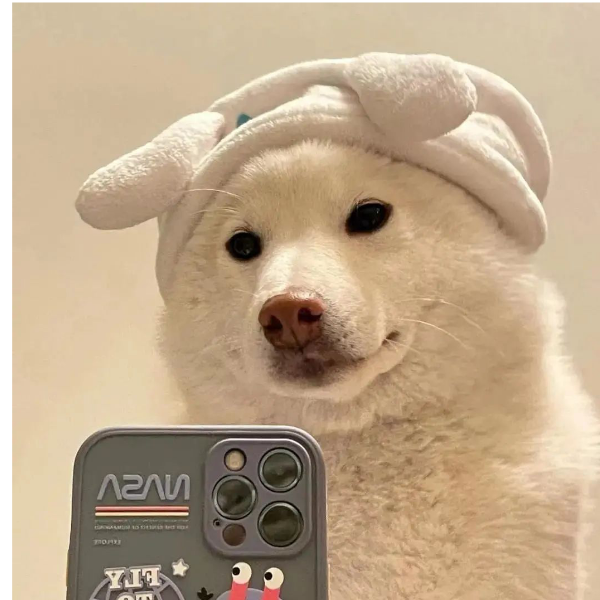 飞di