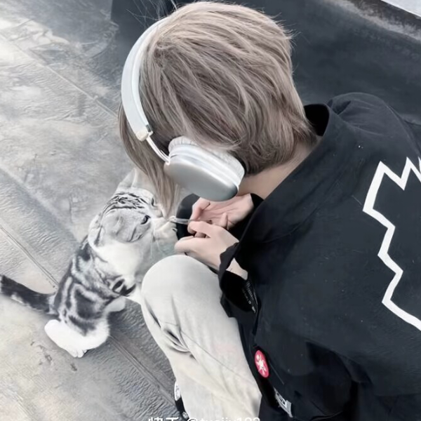 崽崽.