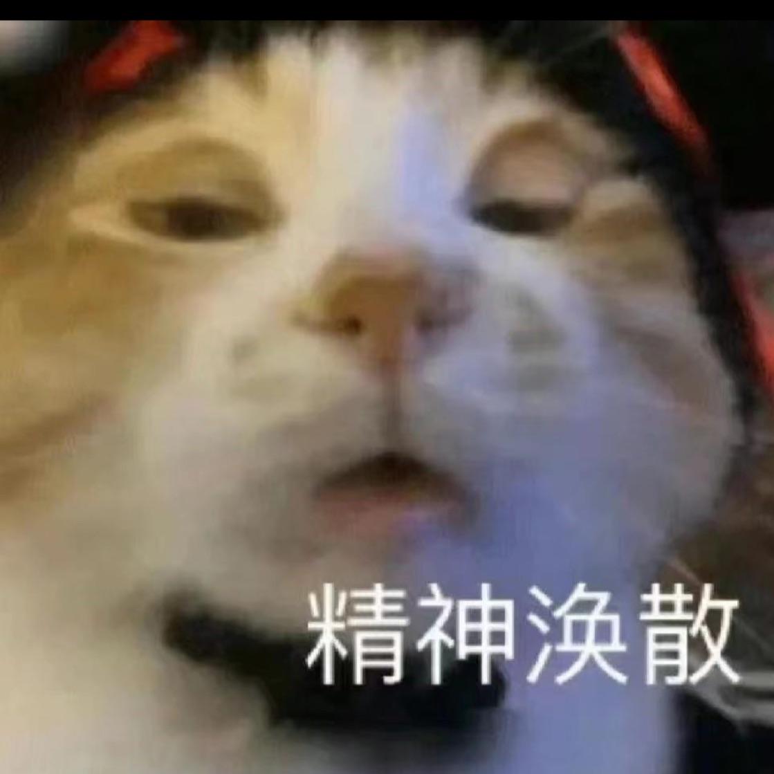 玖菜合子