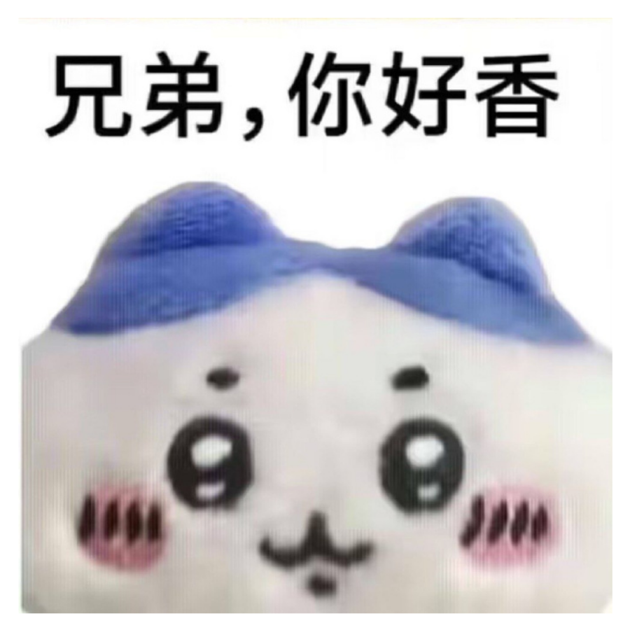 白妮伯🐱