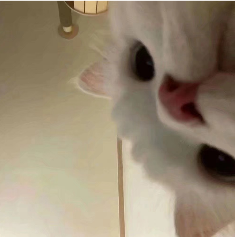 是汤圆啊