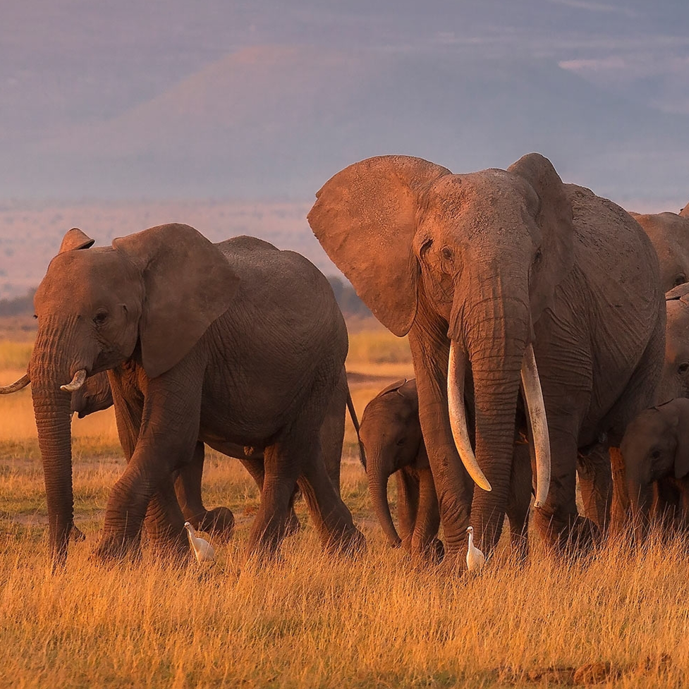 摧尽腐朽方释怀