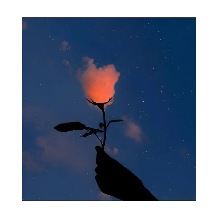 夜雨听虫鸣