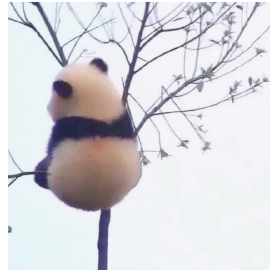 阿稔啊