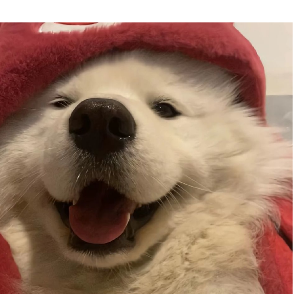 呜呜呜呜呜呜