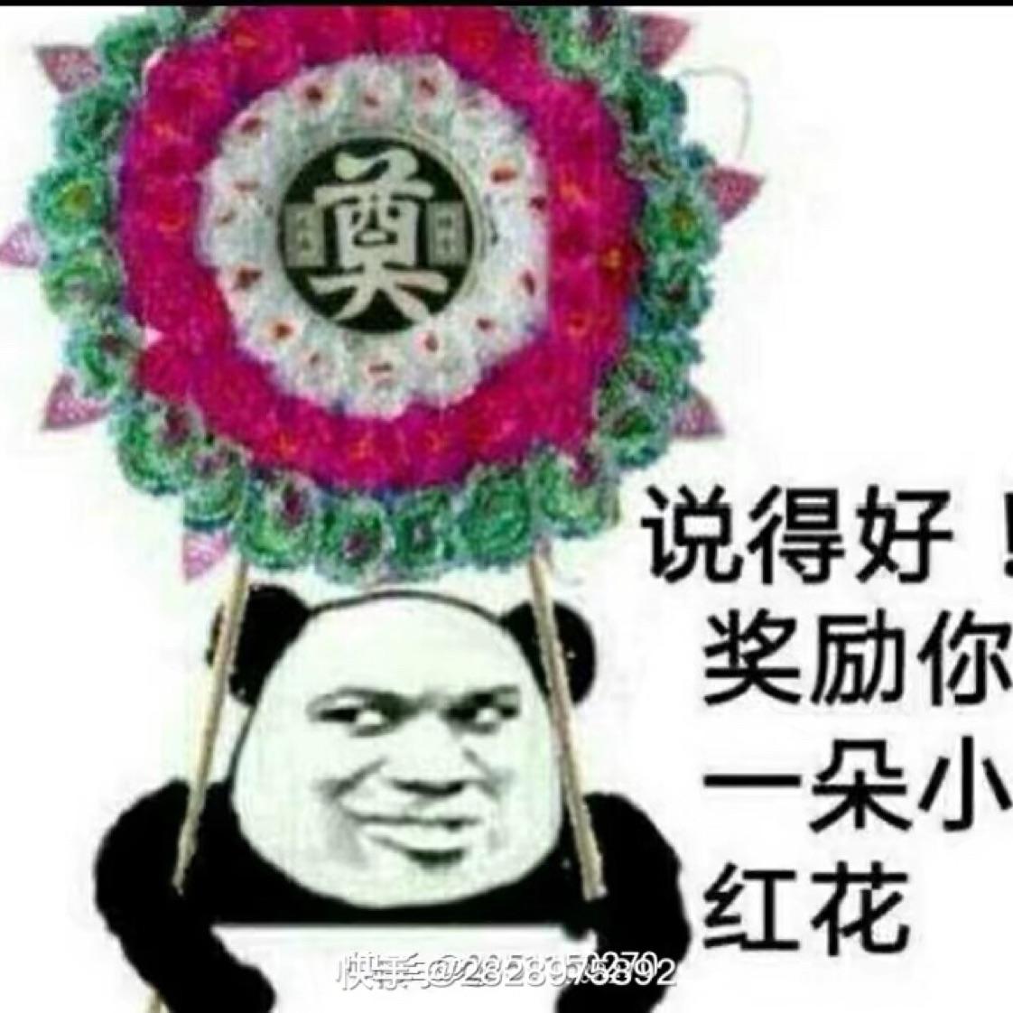 魄晓十天