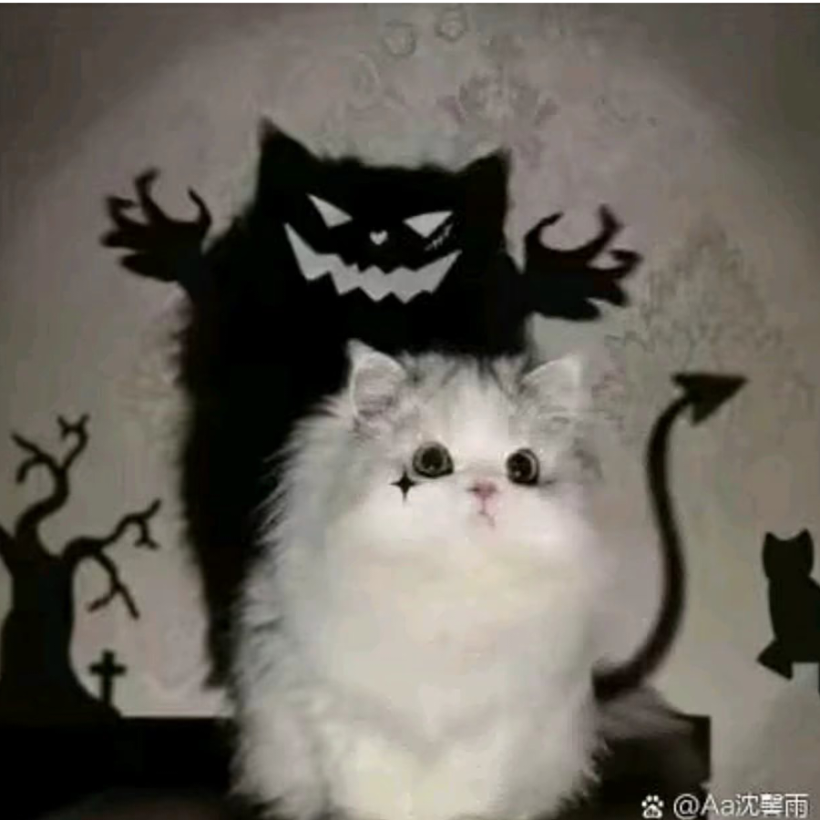 离析