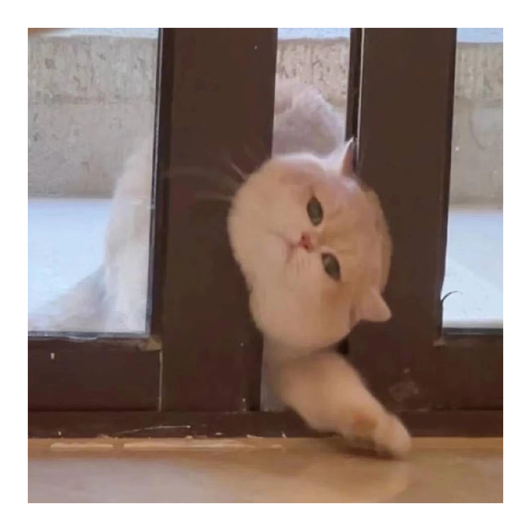千只鹤