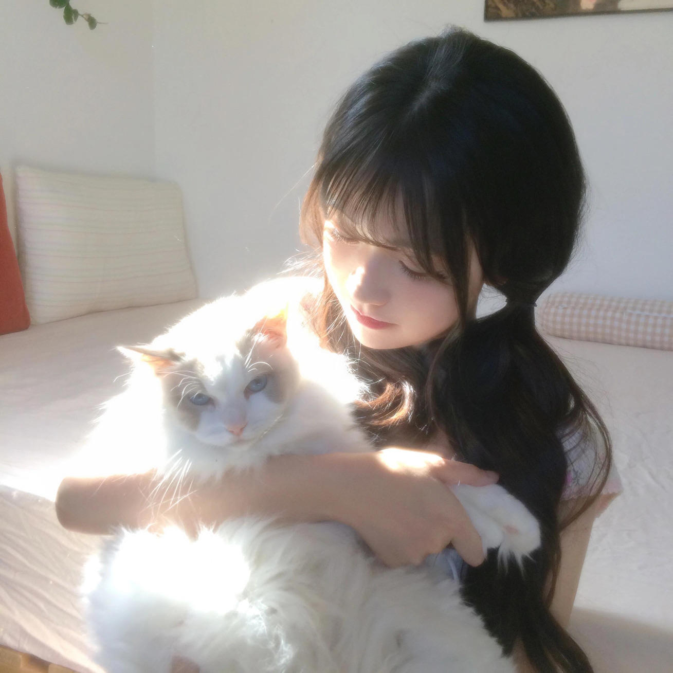 小烤鱼.