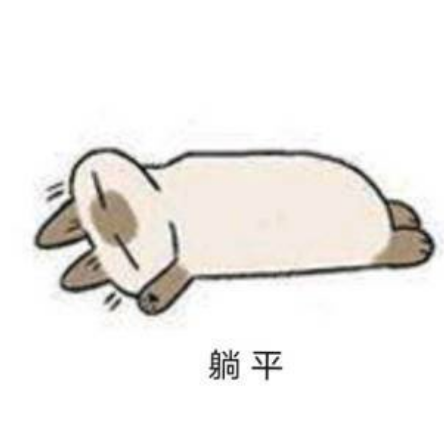 鱼谱