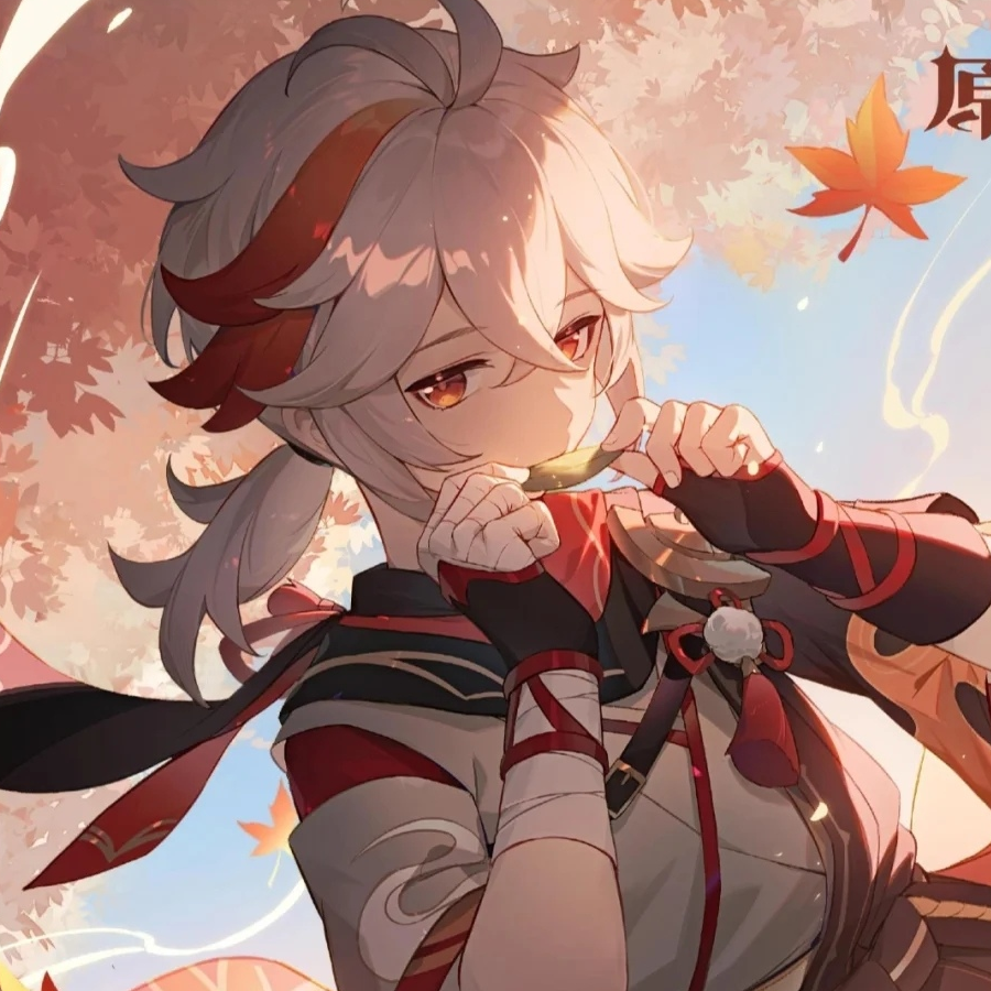 枫叶🍁